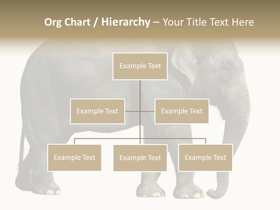 Travel Portrait Strong PowerPoint Template