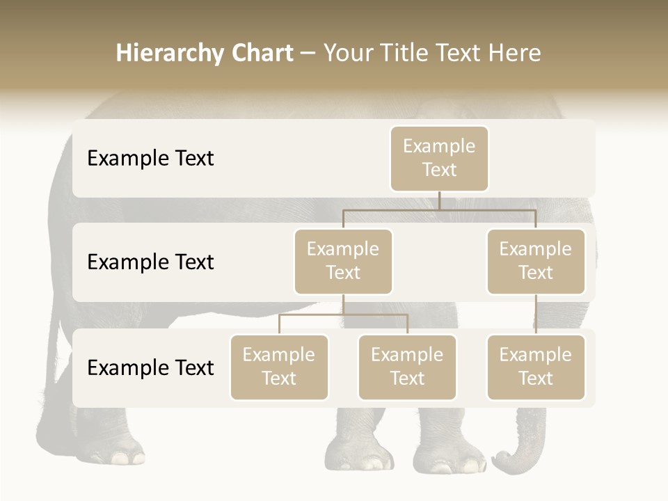 Travel Portrait Strong PowerPoint Template