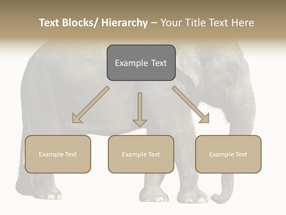 Travel Portrait Strong PowerPoint Template