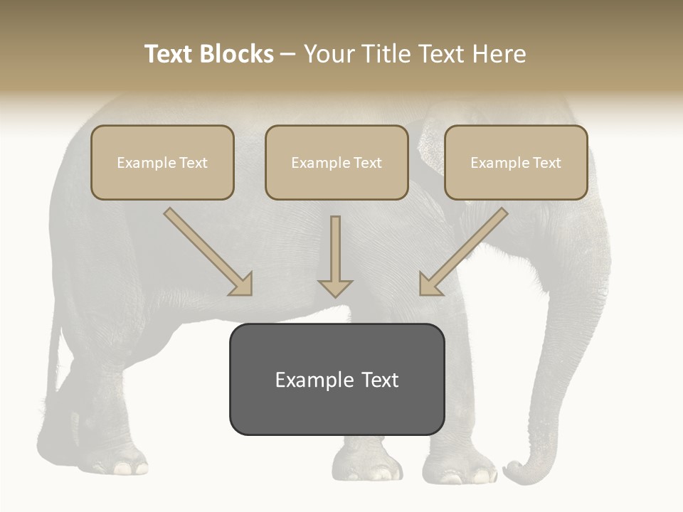 Travel Portrait Strong PowerPoint Template