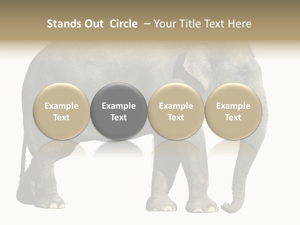 Travel Portrait Strong PowerPoint Template