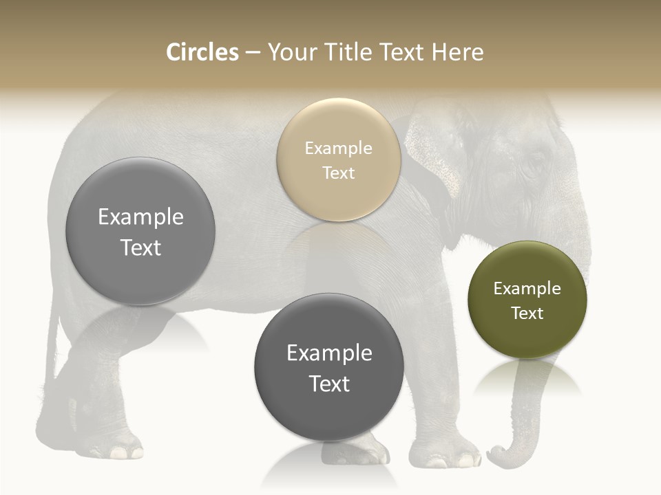 Travel Portrait Strong PowerPoint Template