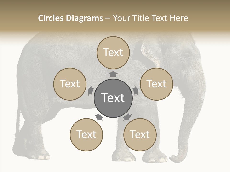 Travel Portrait Strong PowerPoint Template