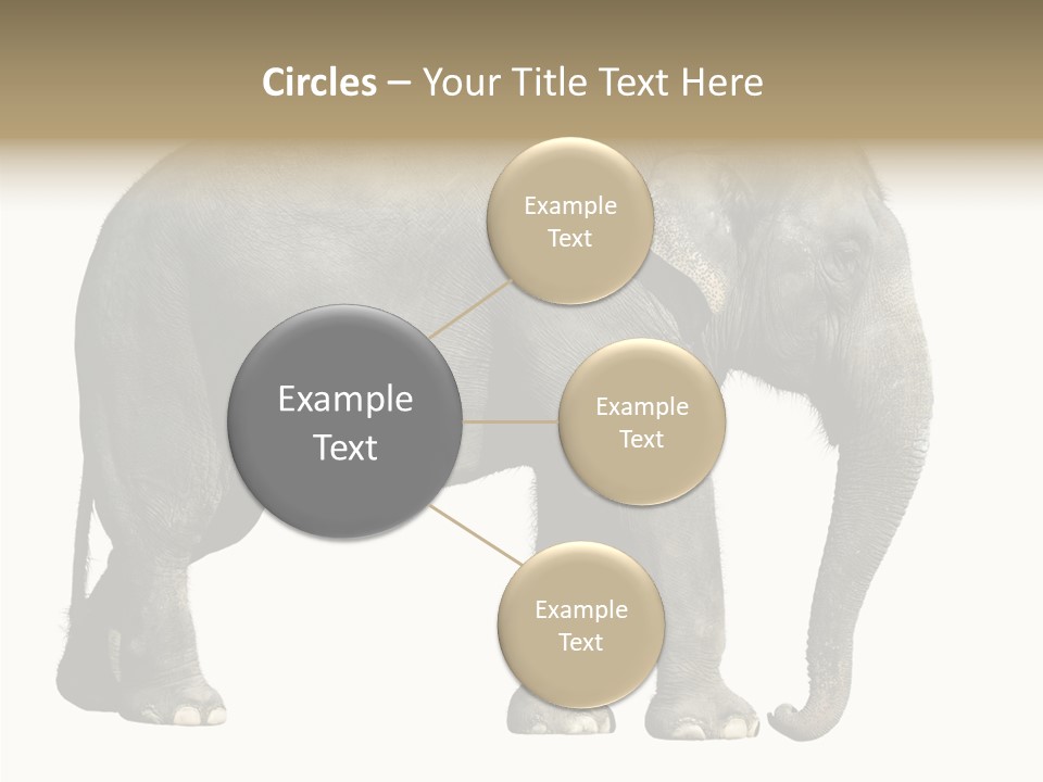 Travel Portrait Strong PowerPoint Template