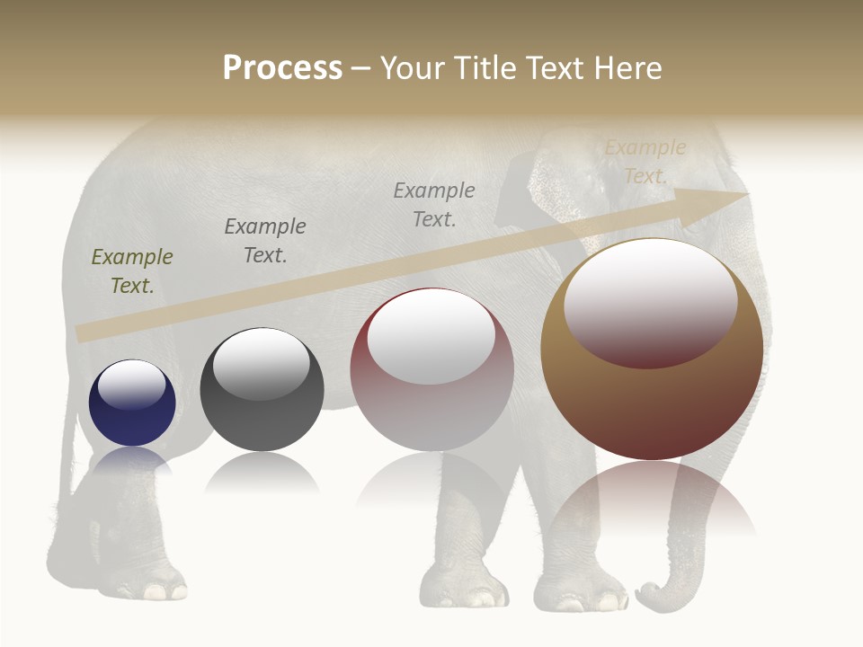 Travel Portrait Strong PowerPoint Template