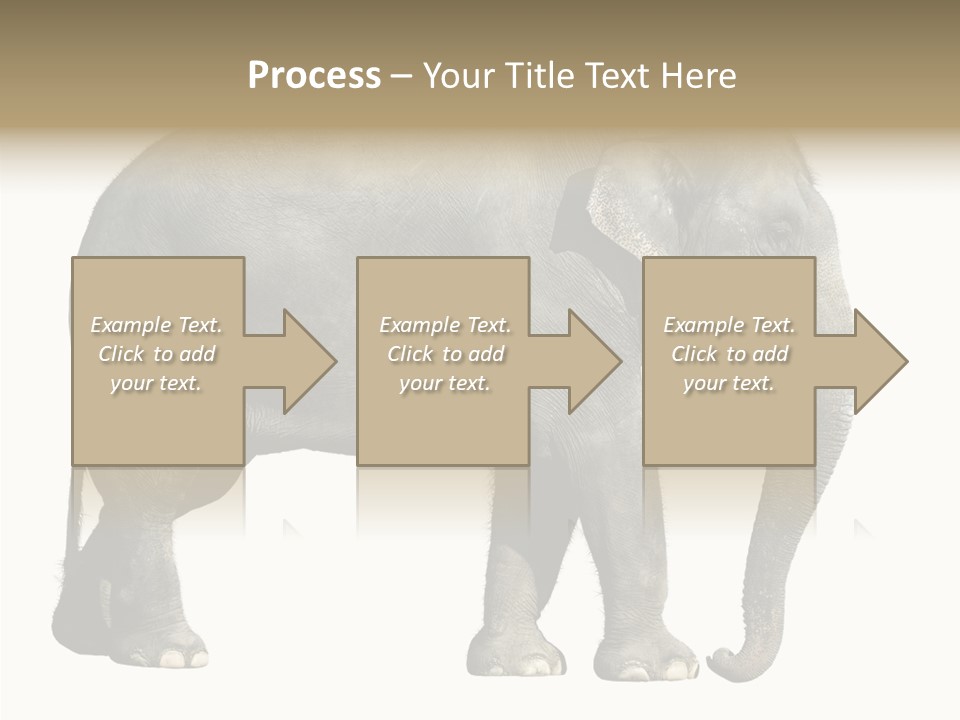 Travel Portrait Strong PowerPoint Template