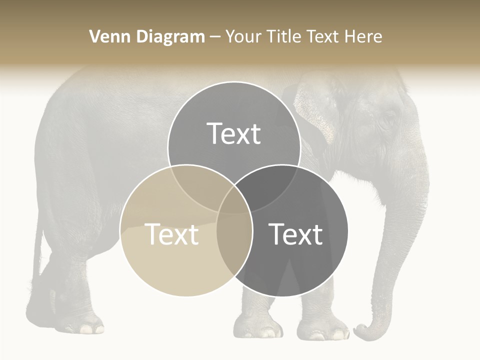 Travel Portrait Strong PowerPoint Template