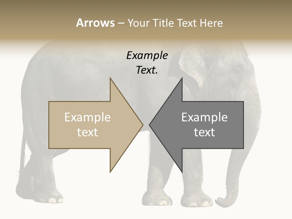 Travel Portrait Strong PowerPoint Template