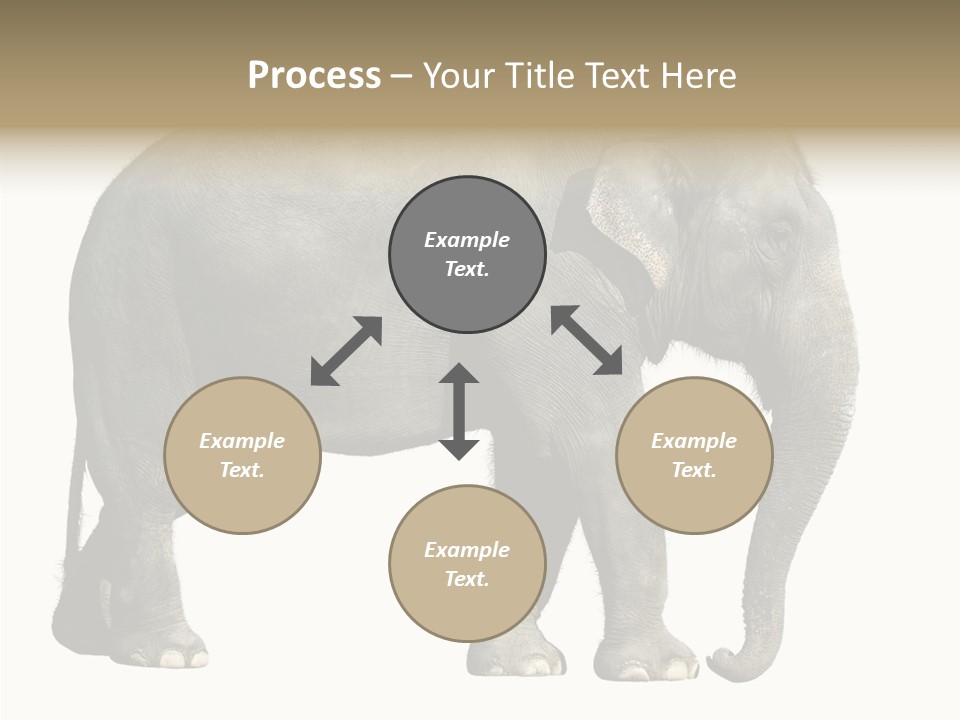 Travel Portrait Strong PowerPoint Template