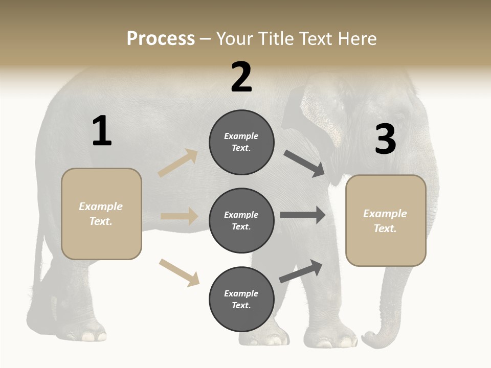 Travel Portrait Strong PowerPoint Template