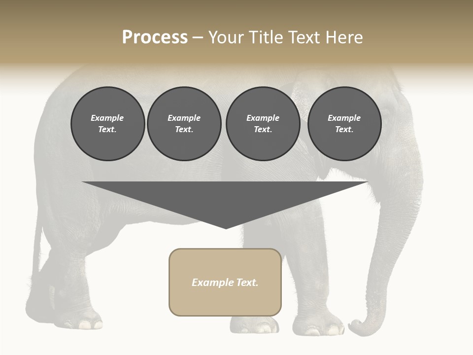 Travel Portrait Strong PowerPoint Template