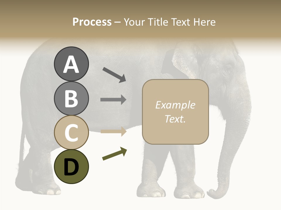 Travel Portrait Strong PowerPoint Template