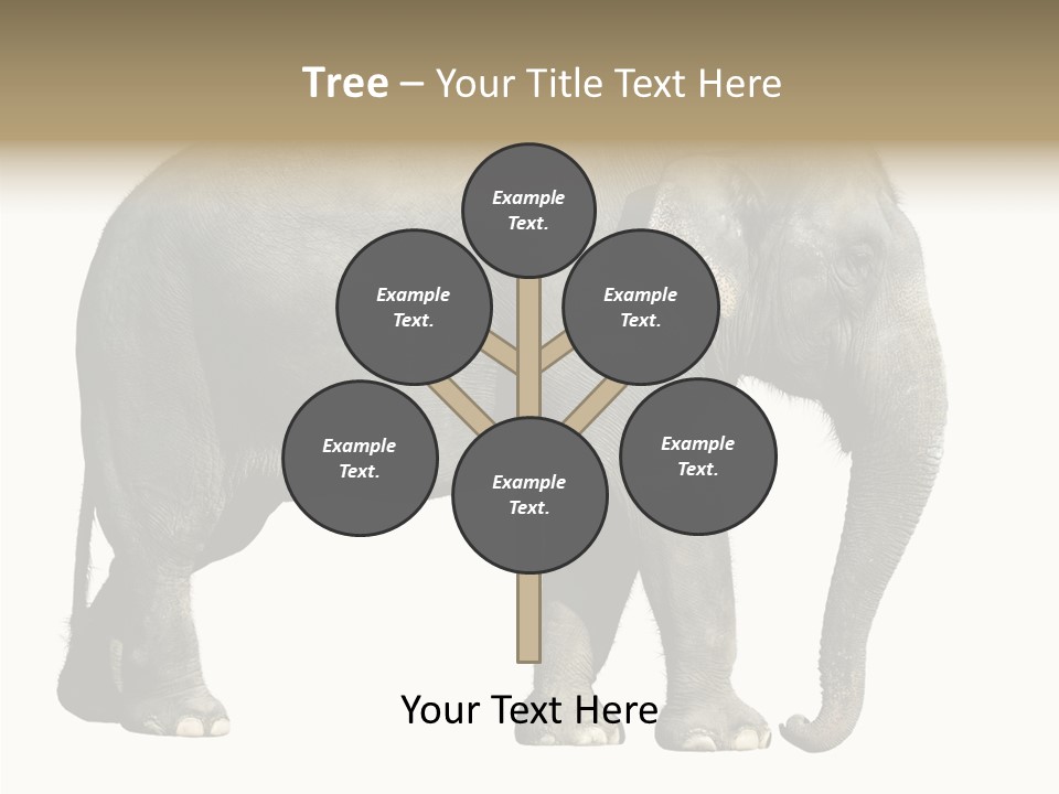 Travel Portrait Strong PowerPoint Template