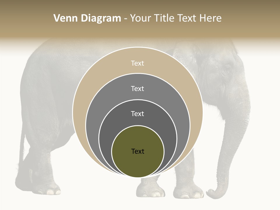 Travel Portrait Strong PowerPoint Template