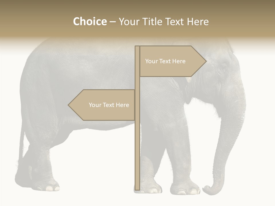 Travel Portrait Strong PowerPoint Template