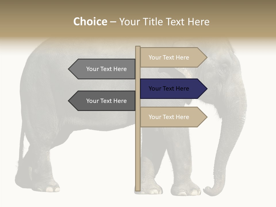Travel Portrait Strong PowerPoint Template