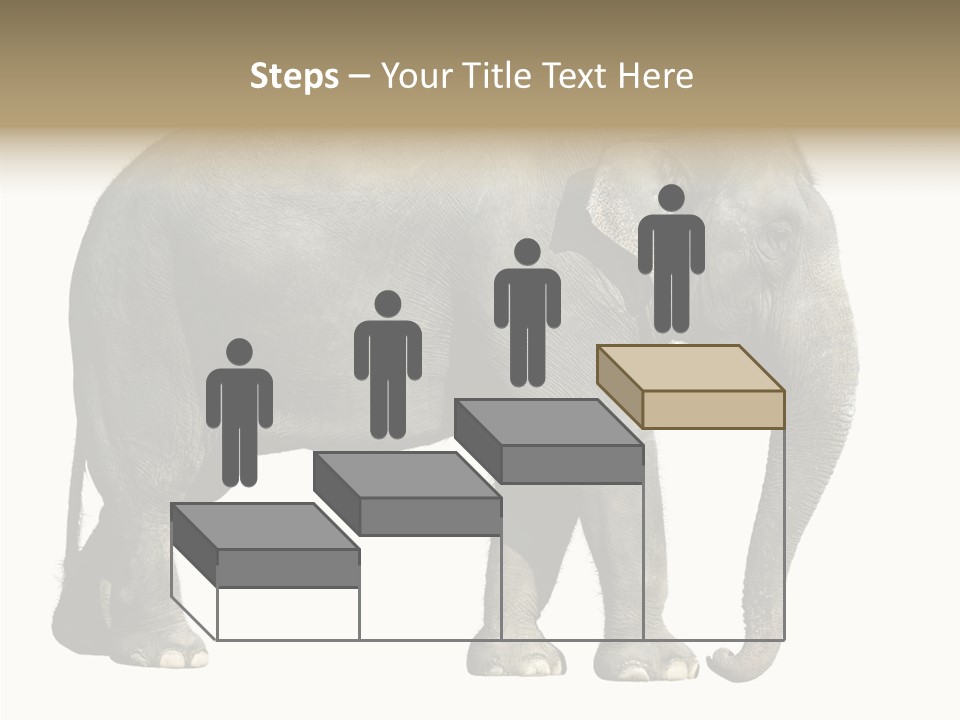 Travel Portrait Strong PowerPoint Template