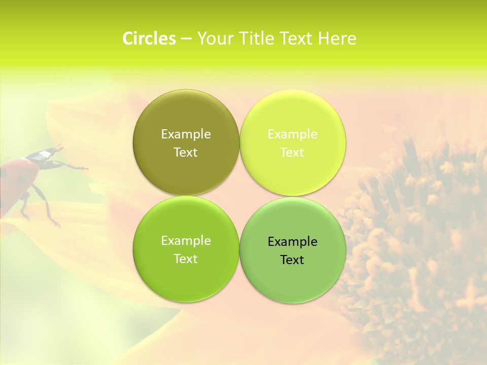 Humorou Itting Team PowerPoint Template