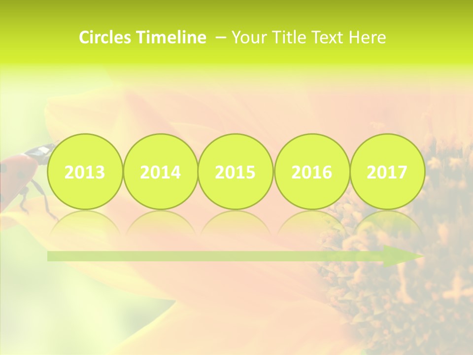 Humorou Itting Team PowerPoint Template