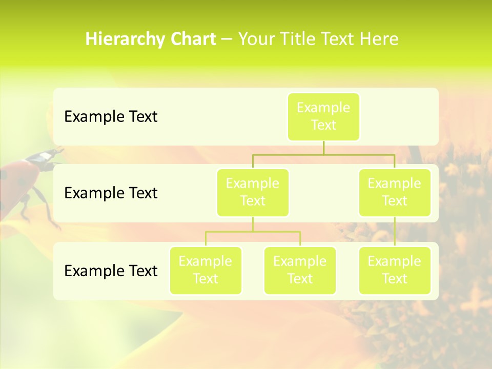 Humorou Itting Team PowerPoint Template