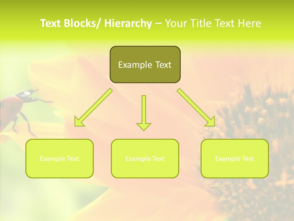 Humorou Itting Team PowerPoint Template