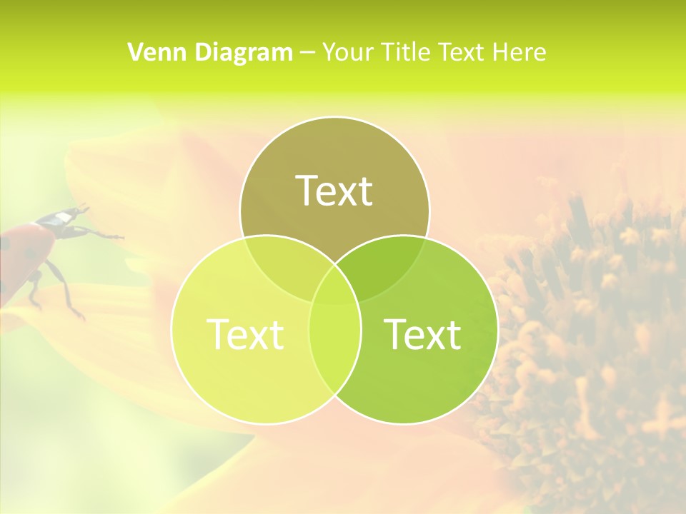 Humorou Itting Team PowerPoint Template