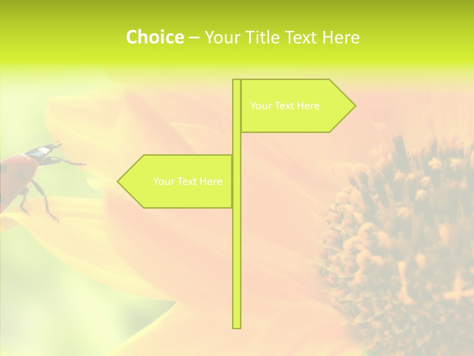 Humorou Itting Team PowerPoint Template