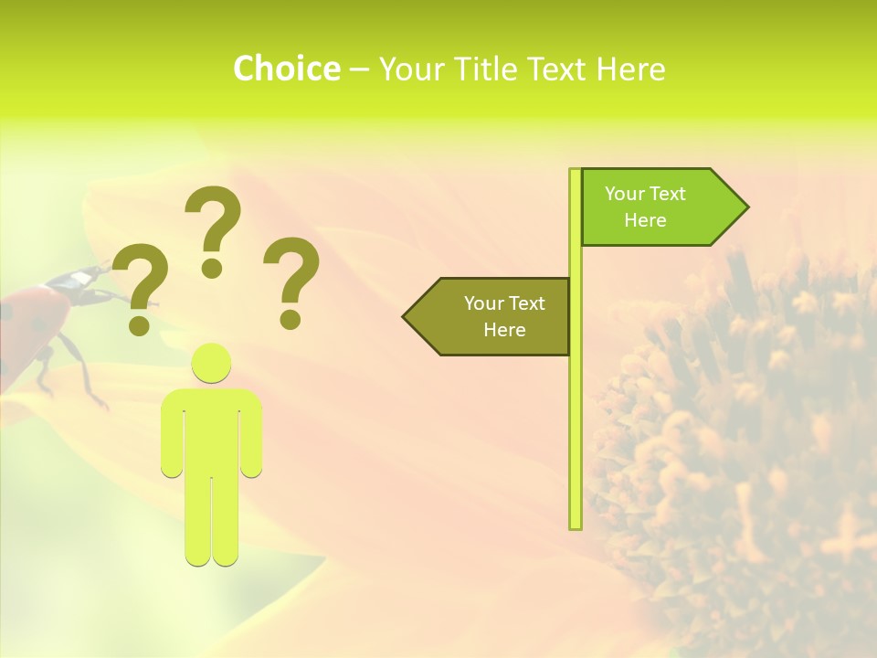 Humorou Itting Team PowerPoint Template