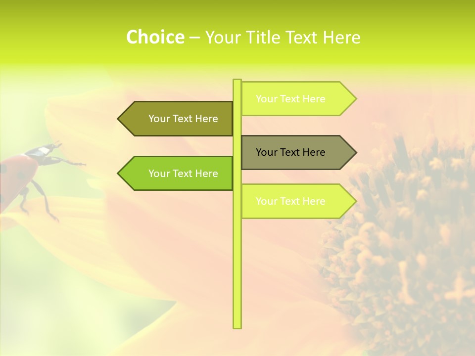 Humorou Itting Team PowerPoint Template