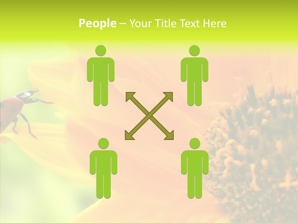 Humorou Itting Team PowerPoint Template