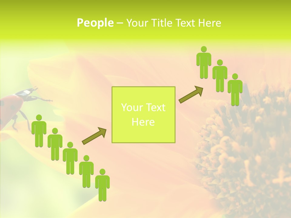 Humorou Itting Team PowerPoint Template