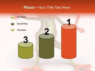 Environment Animal Rainforest PowerPoint Template