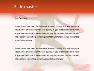 Environment Animal Rainforest PowerPoint Template