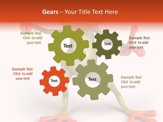 Environment Animal Rainforest PowerPoint Template