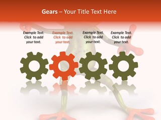 Environment Animal Rainforest PowerPoint Template