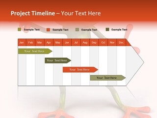 Environment Animal Rainforest PowerPoint Template