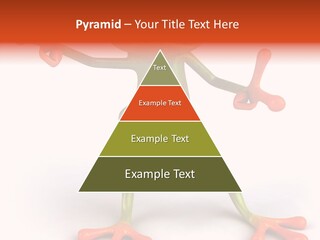 Environment Animal Rainforest PowerPoint Template