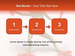 Environment Animal Rainforest PowerPoint Template