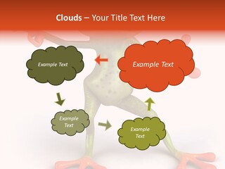 Environment Animal Rainforest PowerPoint Template