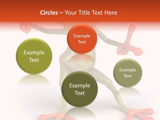Environment Animal Rainforest PowerPoint Template