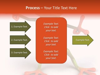 Environment Animal Rainforest PowerPoint Template