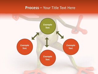 Environment Animal Rainforest PowerPoint Template