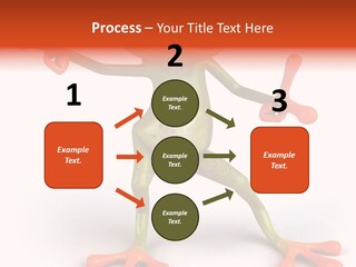 Environment Animal Rainforest PowerPoint Template