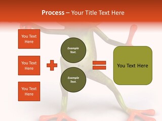 Environment Animal Rainforest PowerPoint Template