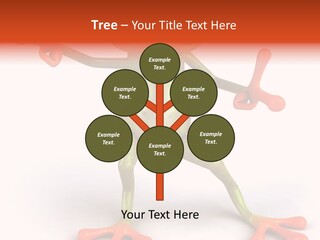Environment Animal Rainforest PowerPoint Template