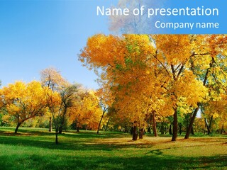 Stem Environment Trees PowerPoint Template