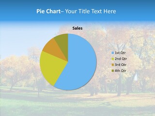 Stem Environment Trees PowerPoint Template