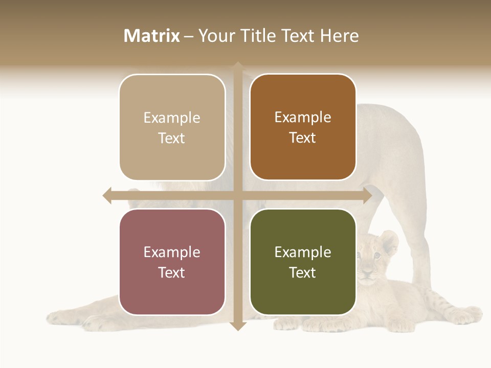 Isolated Pair Many PowerPoint Template