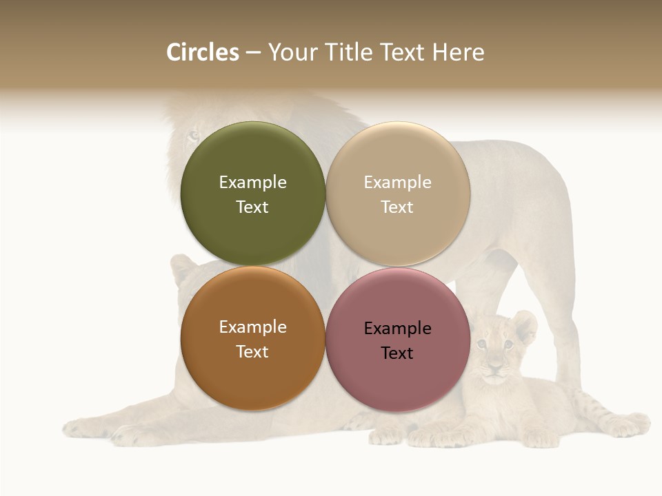 Isolated Pair Many PowerPoint Template