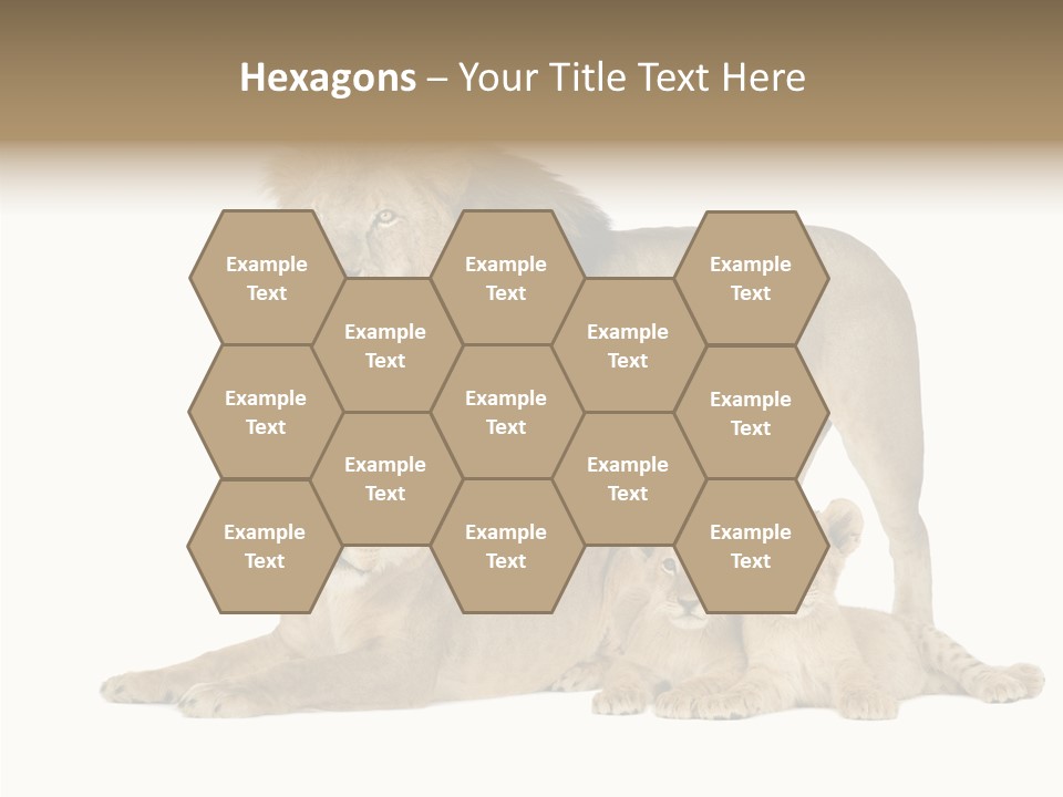 Isolated Pair Many PowerPoint Template